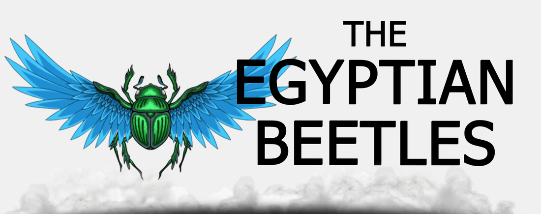 Egyptian beetles