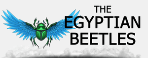Egyptian beetles